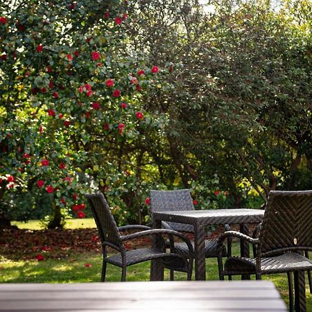 Copthorne Effingham Gatwick Hotel Exterior photo